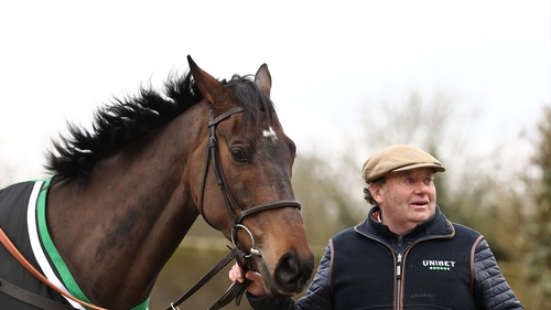 Constitution Hill goes head to head with Brighterdaysahead