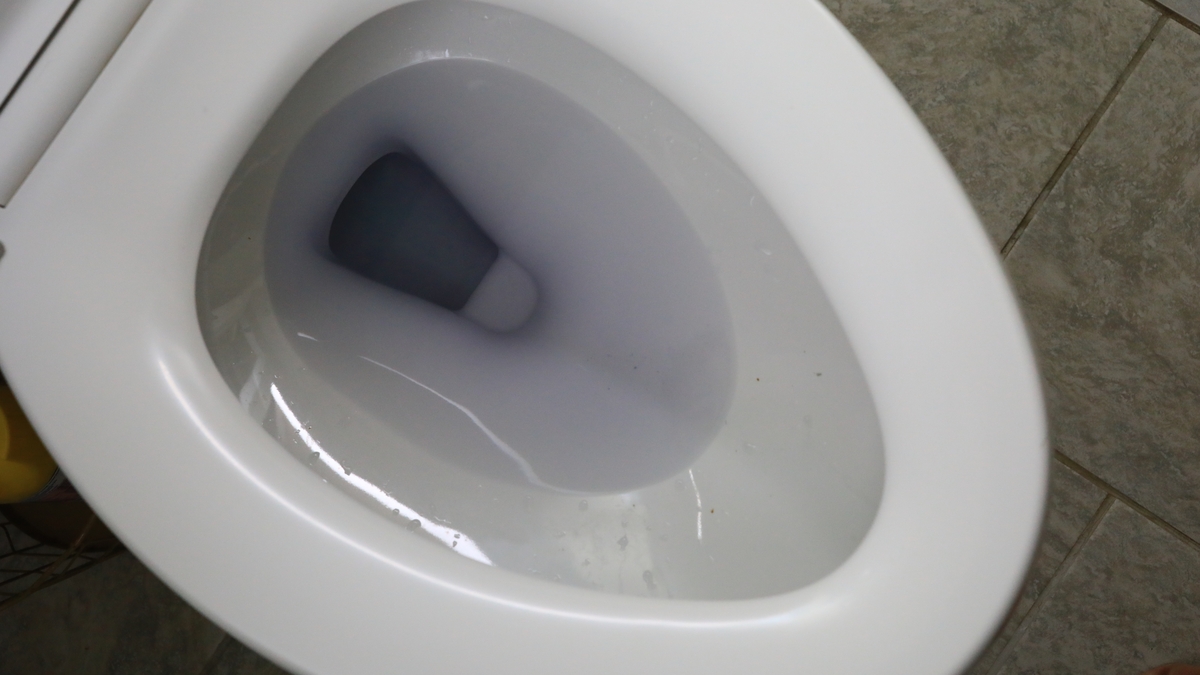 Think before you flush!