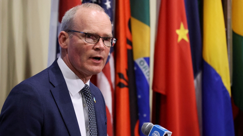 Simon Coveney said that just under 25,000 people fleeing the conflict in Ukraine have come to Ireland