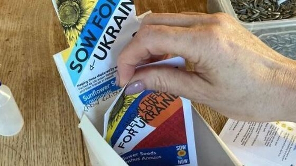 Buy your seeds by the end of June.