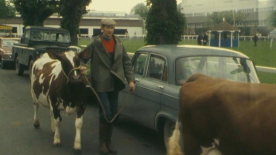 Farmer with cow, RDS (1977)