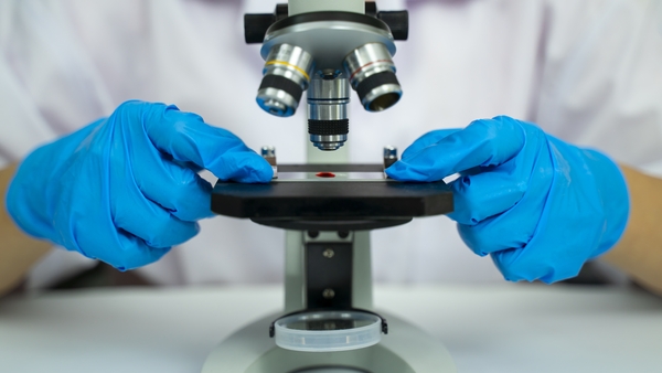 Scientific research and development is one area where productivity in the south is a lot higher than in Northern Ireland