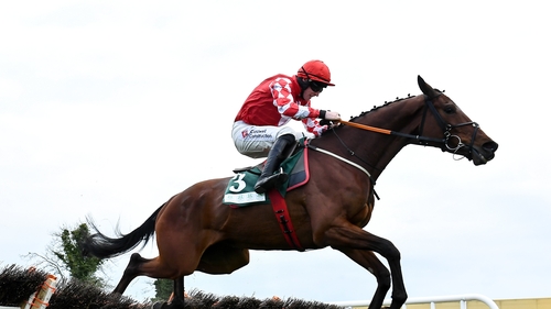 Mighty Potter was considered a outsider but the leading hopes disappointed