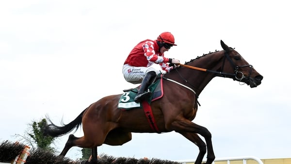 Mighty Potter was considered a outsider but the leading hopes disappointed