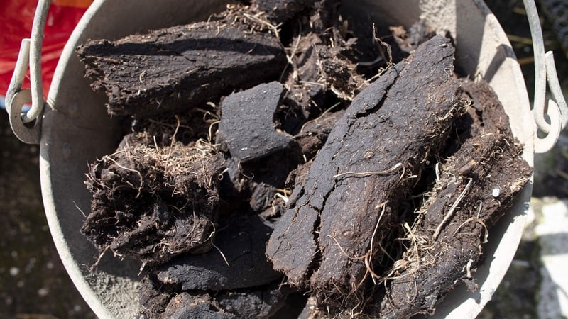 The Dáil voted on two motions relating to carbon tax