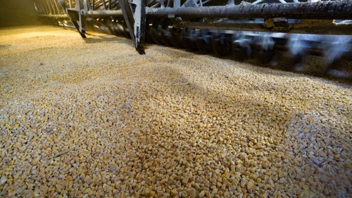 Ukraine's Foreign Minister poured scorn on the suggestion that Moscow wanted to allow Ukraine to ship grain (File pic)