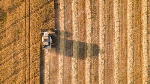 The breadbasket of Europe: Ukraine is an important source of grain for human and animal consumption worldwide