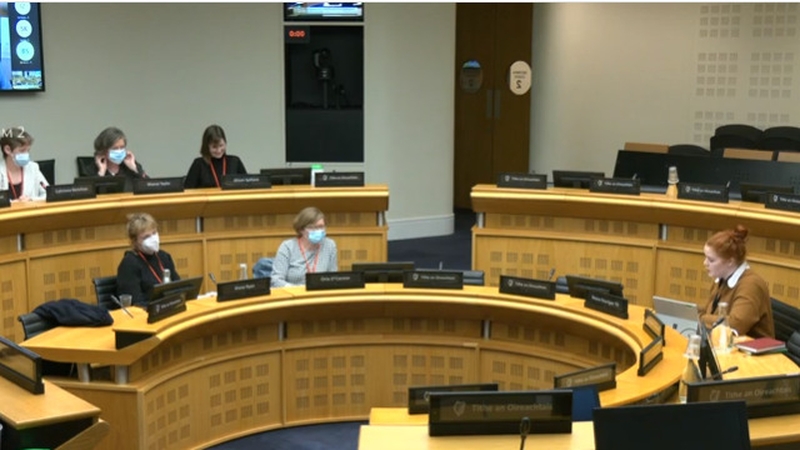 The committee is hearing testimony relating to the review of the Health (Regulation of Termination of Pregnancy) Act