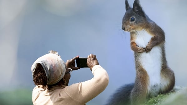 Irish wildlife photos wanted! Eye On Nature, RTÉ's annual wildlife photography competition, is open for entries.