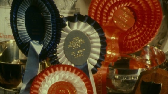 Rosettes (1982)