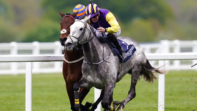 Princess Zoe will return to Ascot for the Gold Cup in June