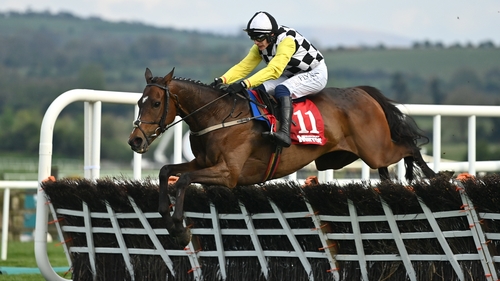 Unbeaten in five outings, The Nice Guy's career is on hold