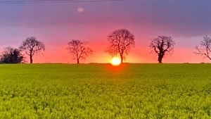 Dawn Chorus 2022 show image