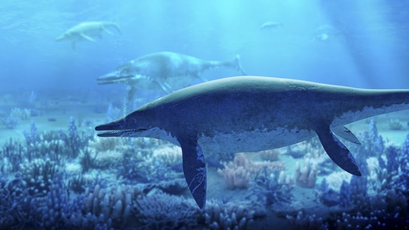 Shastasaurus, a member of the ichthyosaur group