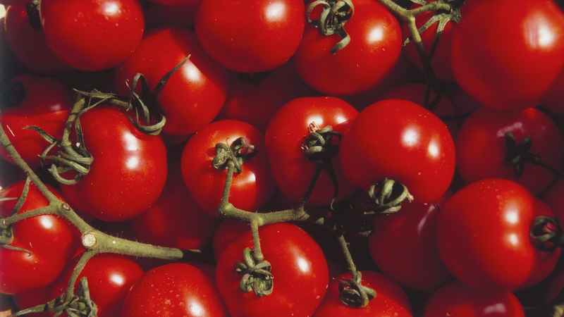 Outside of summer months, Ireland has to import its fresh tomatoes from the likes of Spain and the Netherlands