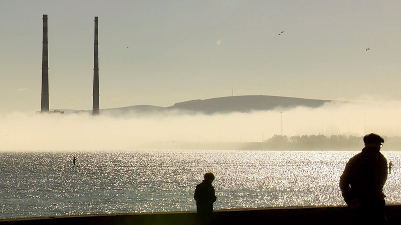 32% of Irish firms consider the transition to a net-zero-emissions society to be a risk to their business, a new EIB survey reveals