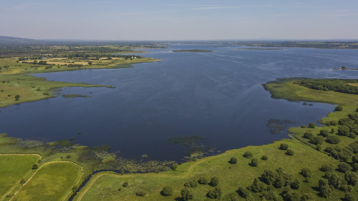 State plans to purchase Clawinch Island on Lough Ree to protect endangered birds