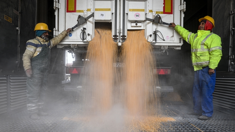 Workers unload corn from a truck which will be stored at the Black Sea port of Constanta as Romania seeks to become an export hub for Ukraine
