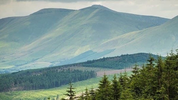 If family fun and adventure is what you're after then look no further than Ballyhoura Country.
