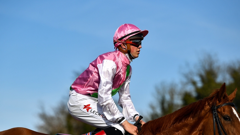 Jockey Dylan Browne McMonagle was on board Tranquil Lady