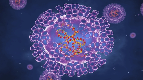 20 suspected cases of monkeypox have been detected in the Lisbon region of Portugal