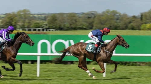 Always travelling nicely, the son of top sprinter Harry Angel picked up in eyecatching fashion for Leigh Roche when asked