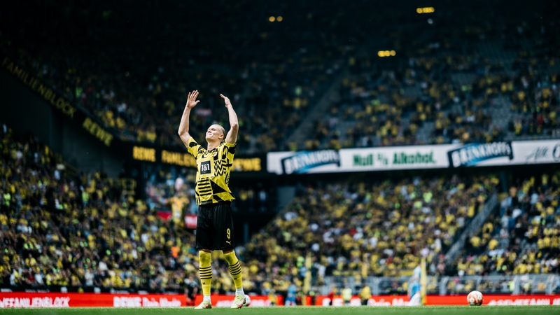 Haaland - set to head to the Premier League next season after Manchester City triggered his £51.1million release clause - had Dortmund level from a penalty with 20 minutes left
