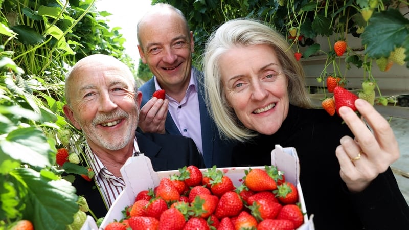 Kieran Rumley, Love Irish Food Executive Director; Owen McFeely, Director, PwC Retail and Consumer Practice and Mary Sadlier, Coole Swan and Director, Love Irish Food at the launch of the 2022 SME Food Barometer