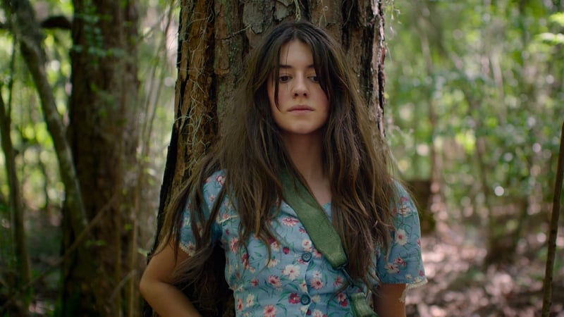 Where the Crawdads Sing, out on 22 July, is among our must-see movies for 2022