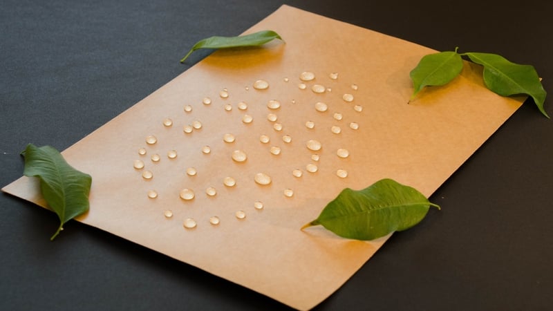 Smurfit Kappa's new paper product can be recycled in the same way as standard paper-based packaging