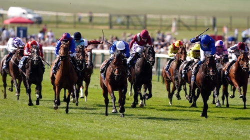 Native Trail will be the only runner form the Newmarket Classic to line up at HQ