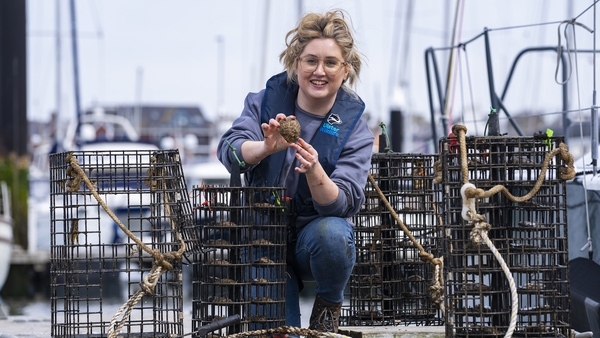 Heidi McIlvenny, Marine Conservation Manager at Ulster Wildlife, inspecting one of the 24 native oyster nurseries installed by the wildlife charity at Bangor Marina