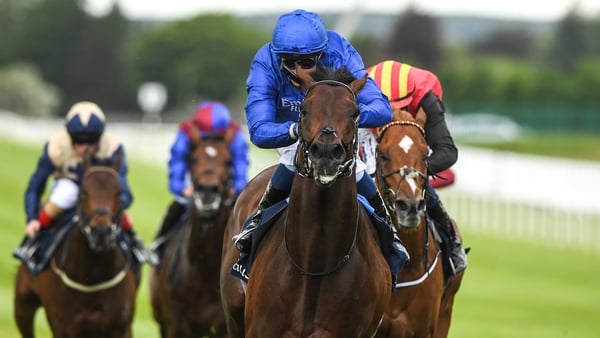 Native Trail has now won six of his seven starts