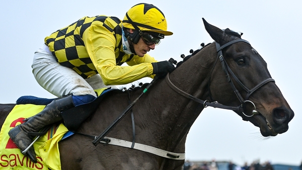 Winner of the blue riband at Prestbury Park in 2019 and 2020, Al Boum Photo was bidding to become only the third horse to also win the French equivalent after Mandarin in 1962 and The Fellow in 1991