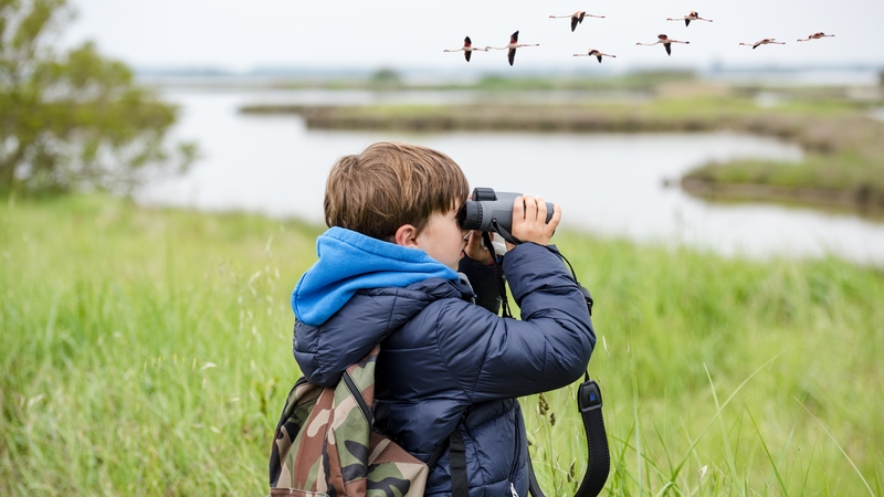 "We've averaged at least one animal return per year"