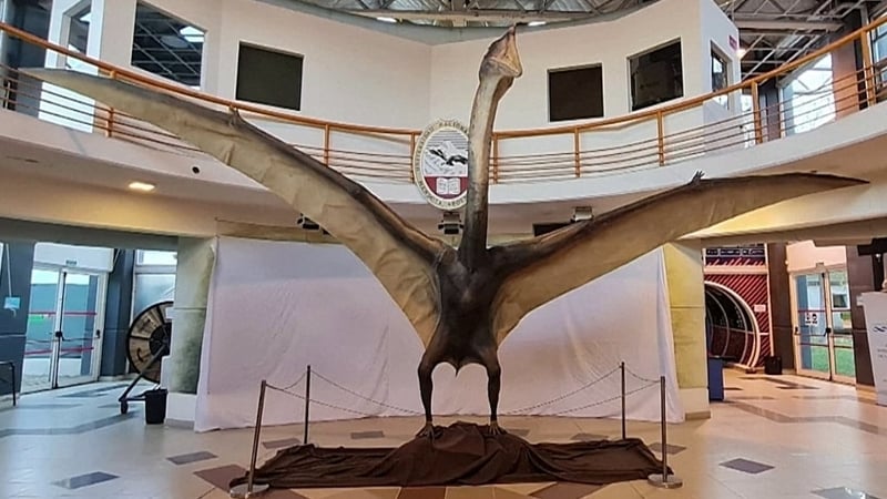 A full-scale model of the Thanatosdrakon amaru. Courtesy: Leonardo Ortiz