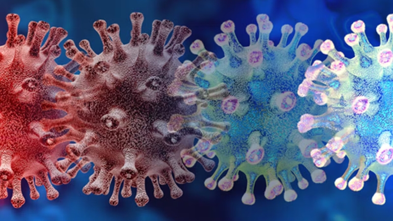 'Because Omicron has spread swiftly, and has had many opportunities to mutate, it has also acquired specific mutations of its own'. Photo: Shutterstock