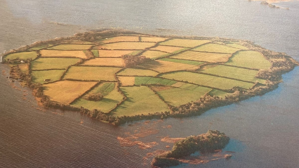 Illaunmore Island On Lough Derg