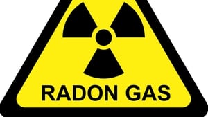 Tara Ní Mháille, Leabharlannaí. show image