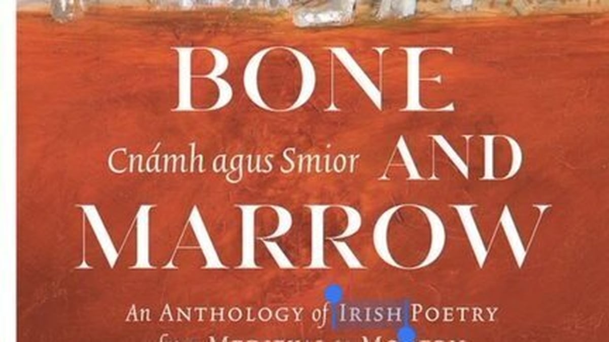 Dr. Ailbhe Ní Ghearrbhuigh;Cnámh agus smior 