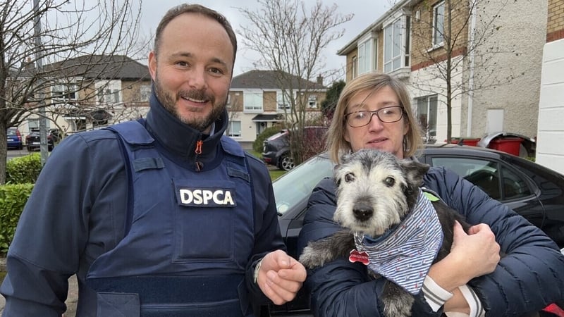 The Shelter: Animal SOS