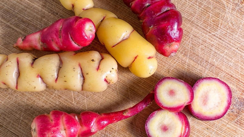 A Kew initiative looks at the future of food in a changing world with a changing climate.