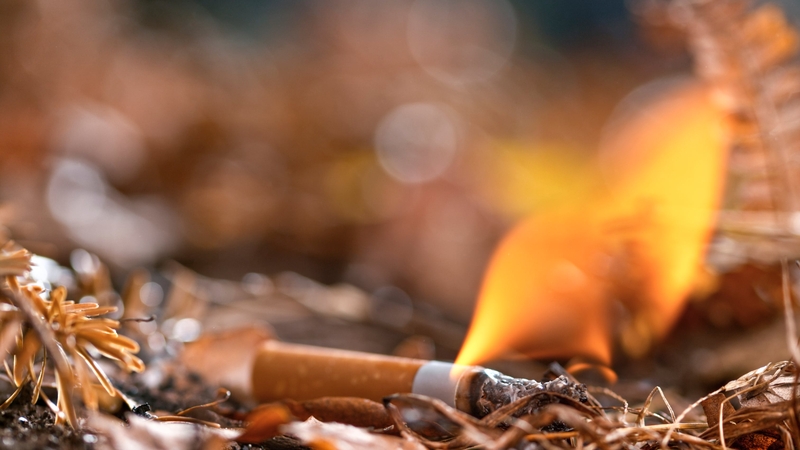 The tobacco industry is being blamed for causing widespread deforestation, diverting land and water away from food production, releasing plastic and chemical waste as well and emitting millions of tonnes of carbon dioxide