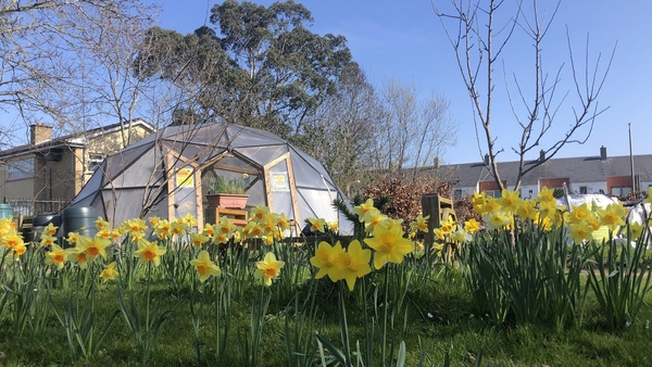 Ecolution visits GLAS Community Garden in Ballymun