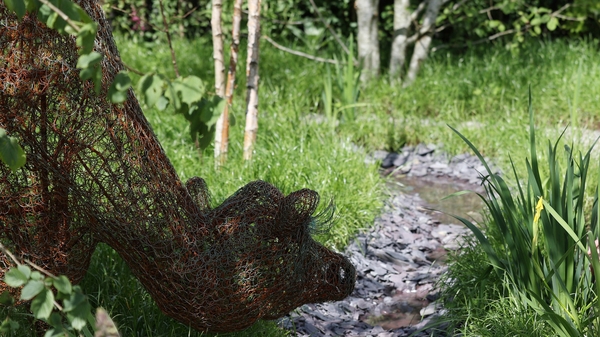 Bloom's show gardens celebrate sustainability and the positive role outdoor spaces have for health (Pic: RollingNews.ie)
