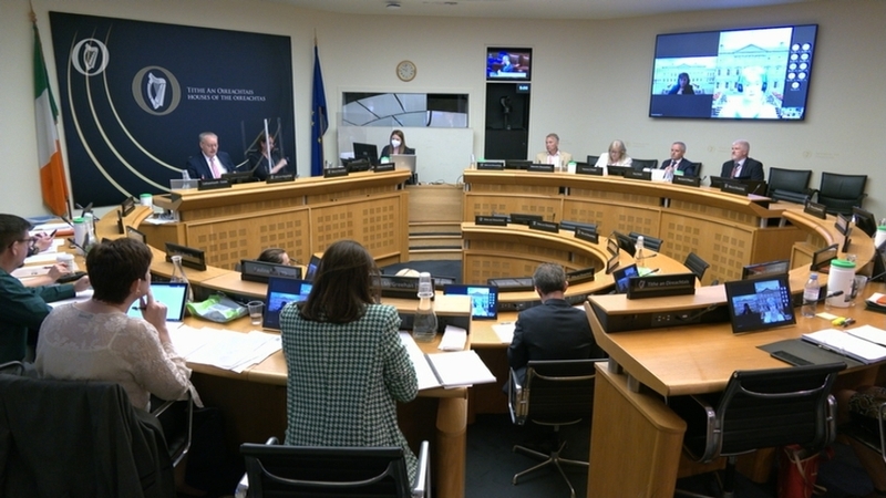 Paul Reid told the committee that said that many HSE staff were working 'night and day' about delivering for children with additional needs