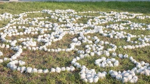 Artist Miriam McConnon's installation will comprise 10,000 white 'roses' made from handkerchiefs