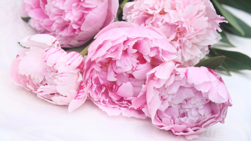 Two expert florists offer their top tips and tricks for making the most of your home grown-grown blooms. By Hannah Stephenson.