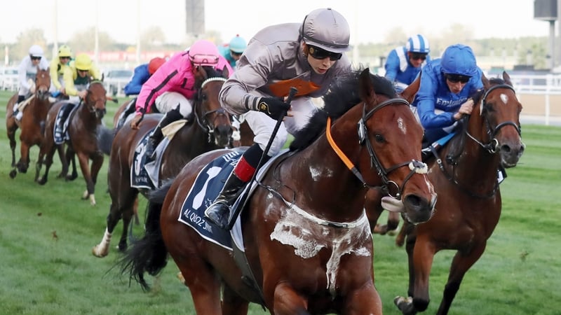 A Case Of You won the Group One Al Quoz Sprint at Meydan on his penultimate outing