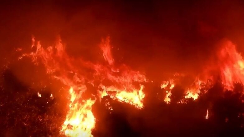 The blaze started yesterday afternoon